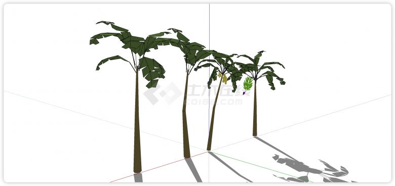 芭蕉叶芭蕉树热带树su模型-图一