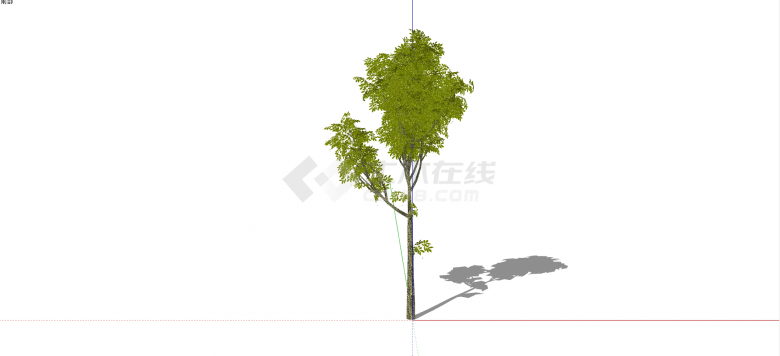 木犀科白荆树绿色乔木su模型-图一