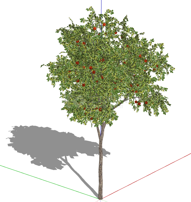 红色果子别致绿色乔木 su模型-图二