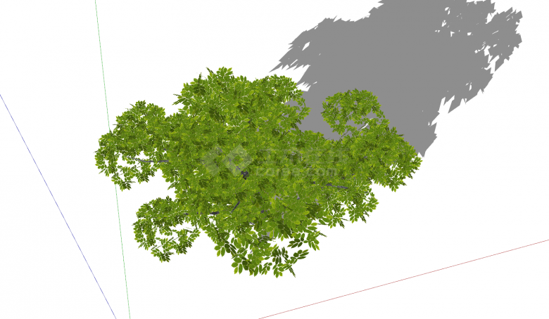 绿色乔木椭圆形树叶su模型-图二