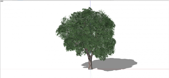被子植物木犀科白蜡树组绿色乔木su模型_图1