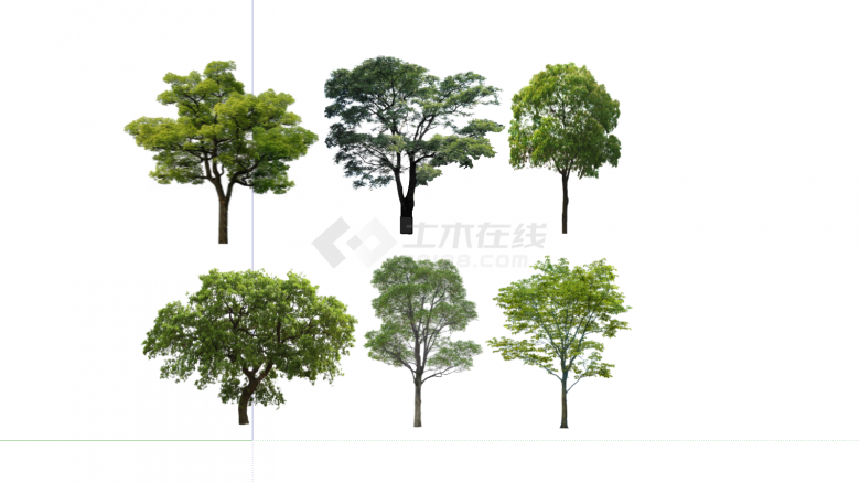 现代香樟树行道树真实树su模型-图一