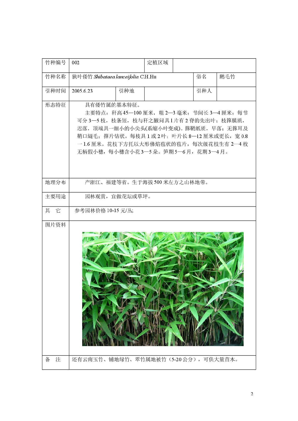 适合园林绿化竹种-图二