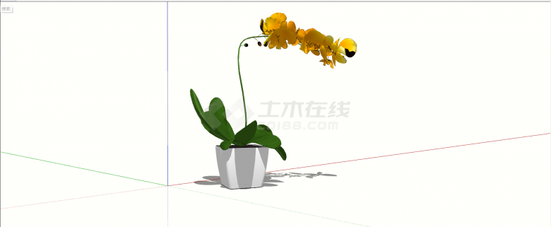 橙色蝴蝶兰室内植物su模型-图一