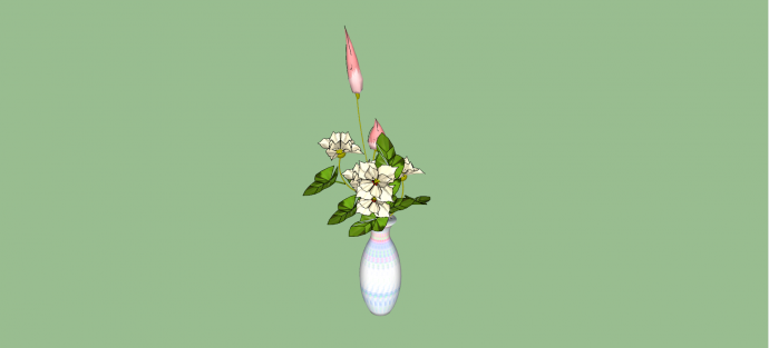 蔷薇科月季花室内植物su模型_图1