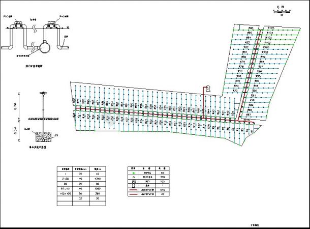某地区金银花生产基地喷灌灌系统cad设计图-图二