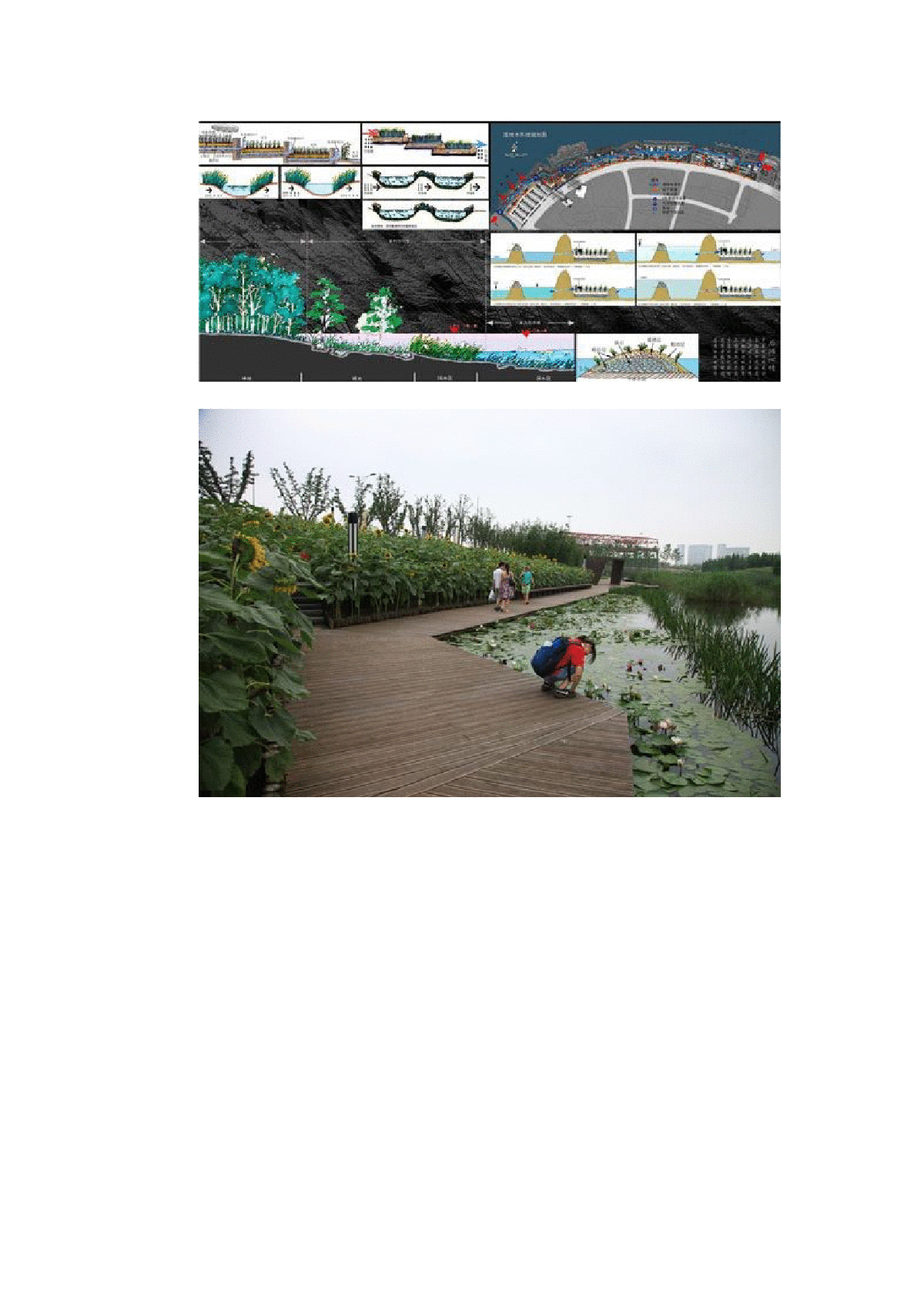 上海世博后滩湿地公园-图二