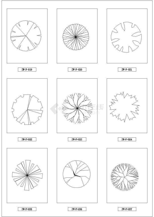 各种植物平面立面图(详细比例)