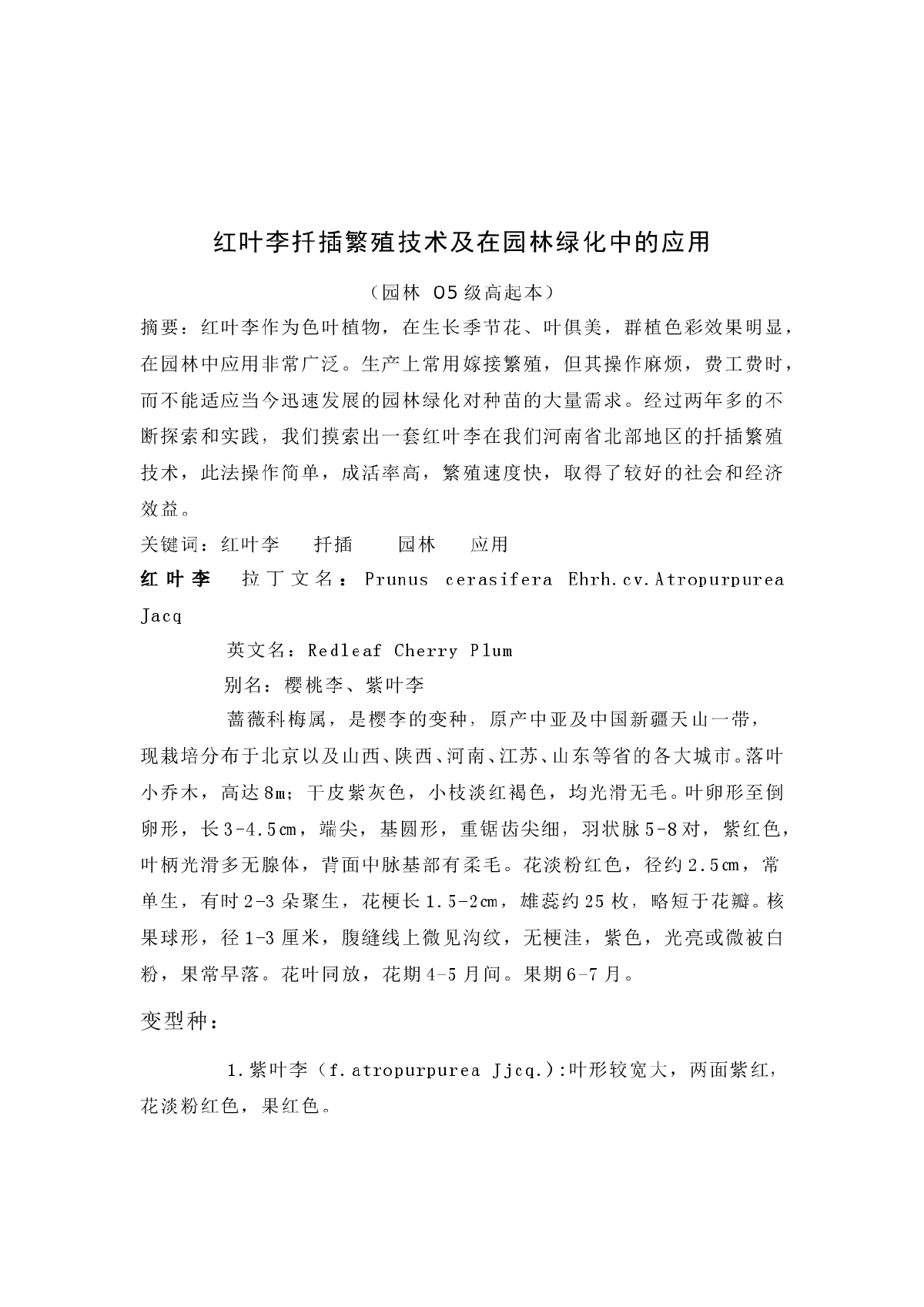 红叶李扦插繁殖技术及在园林绿化中的应用-图一