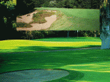 高尔夫球场园林植物设计要点图片1