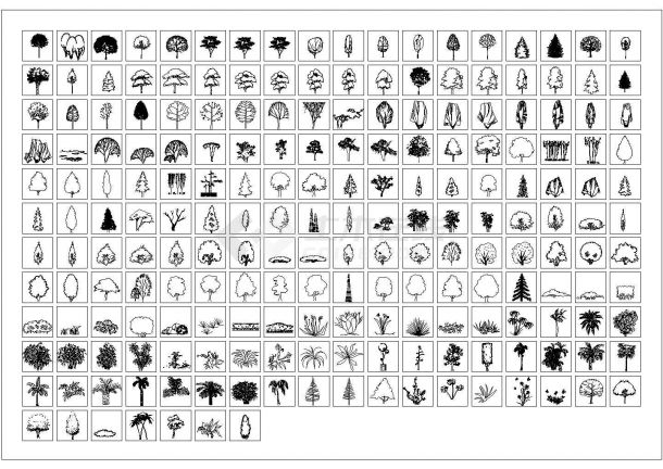 工程设计景观、植物图例大全-图二