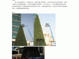迪拜大型圣诞树的内部结构及安装过程作者黎常峰图片1