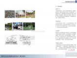 成都市双流县新城区控制性详细规划城市设计（41页）2005图片1