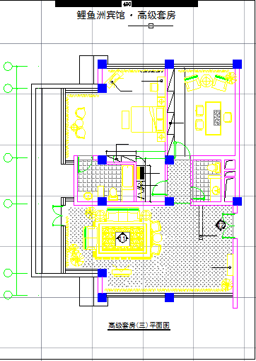 某地区鲤鱼洲宾馆高级套房施工设计图_图1