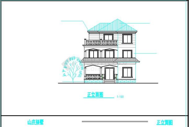 带跃层三层半中空农村自建房屋建筑设计图-图一