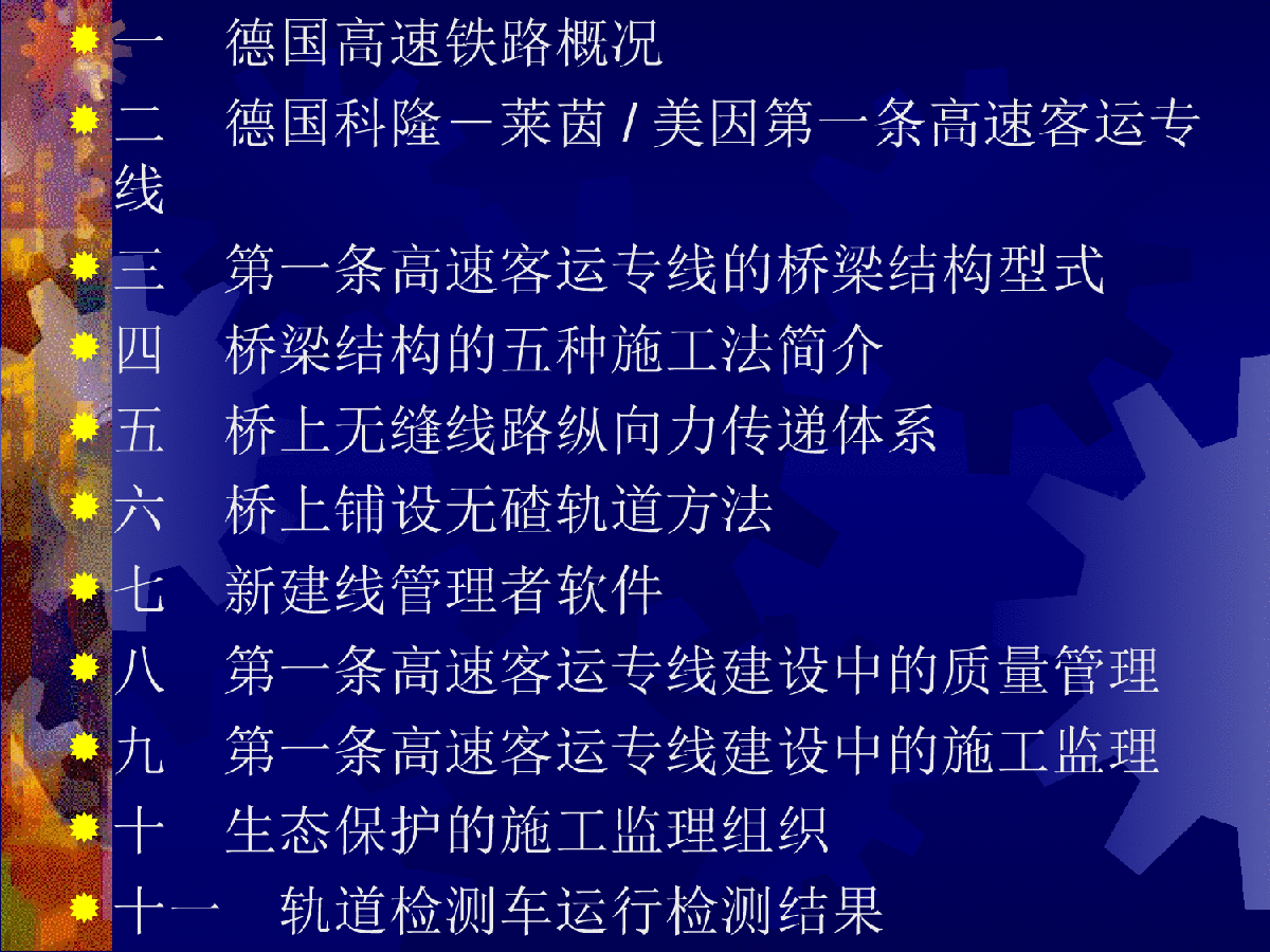 德国第一条客运专线桥梁简介-图二