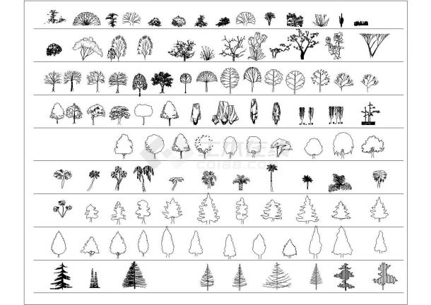 种类丰富的园林树木CAD立面素材图块设计大合集-图一