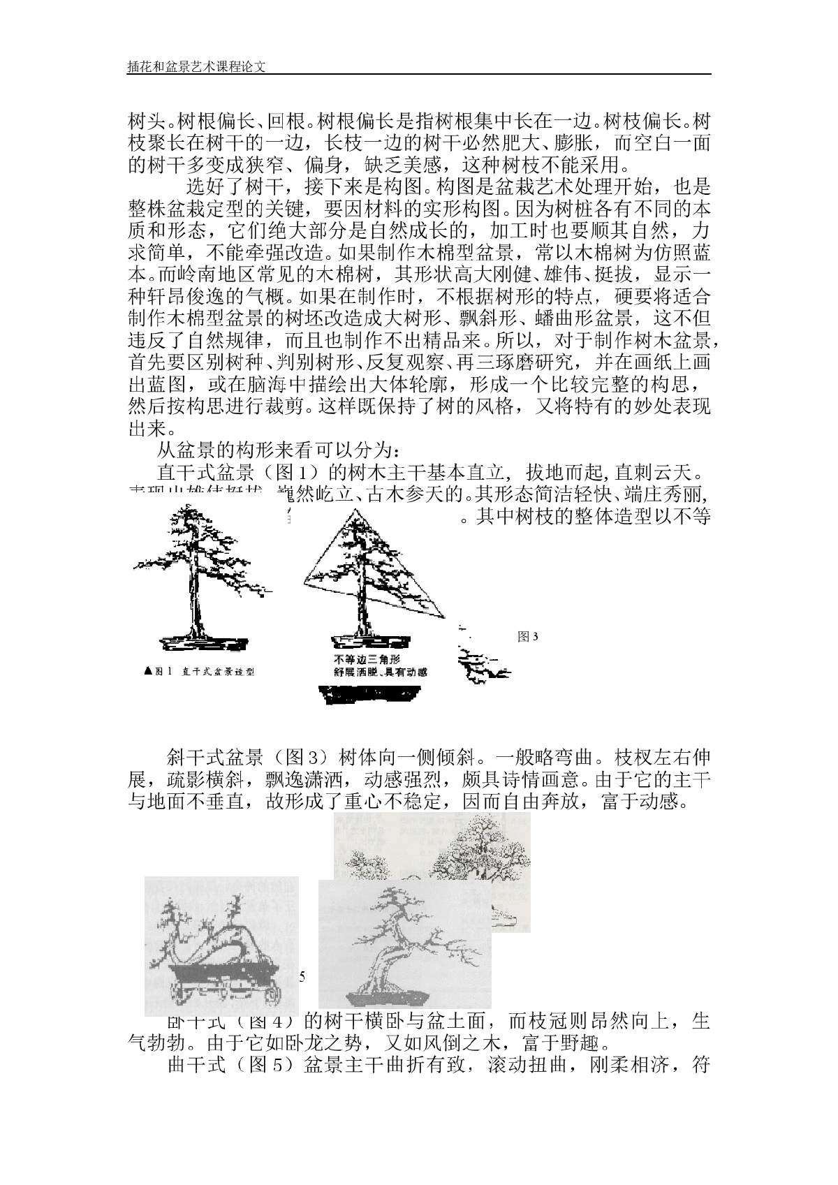 插花和盆景艺术课程论文-图二