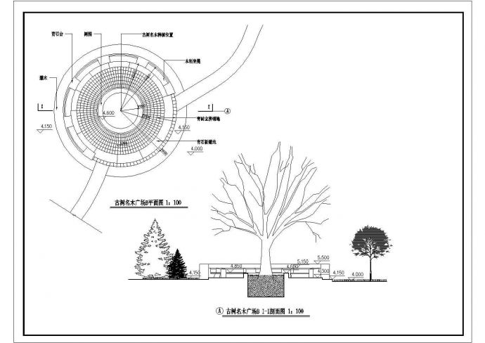 某地古树名木广场绿化设计施工图纸_图1
