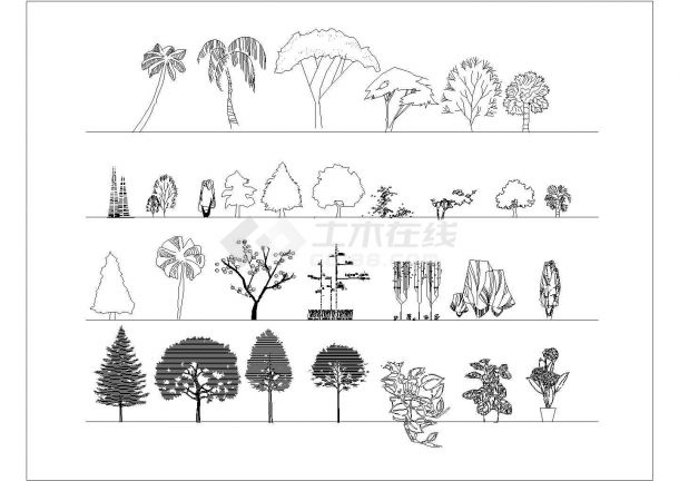 园林植物景观素材图例CAD设计图（各种树木植物）-图一