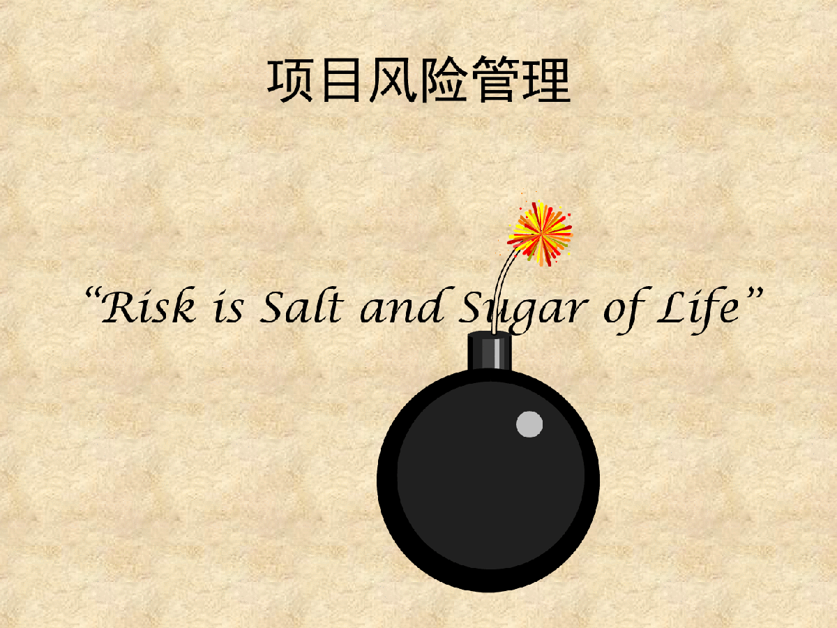 项目风险管理（Project Risk Management）-图二