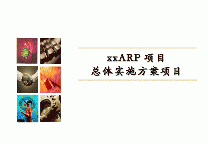 ARP项目总体实施方案项目_图1