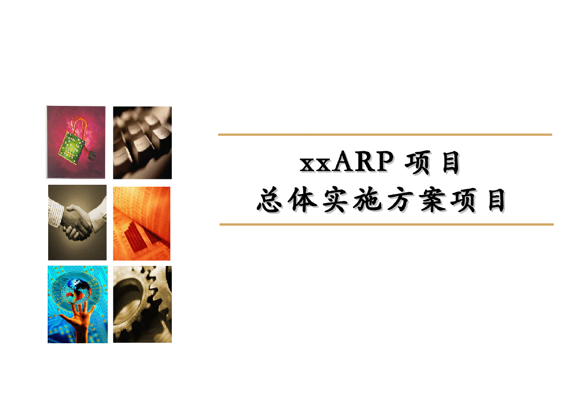 ARP项目总体实施方案项目