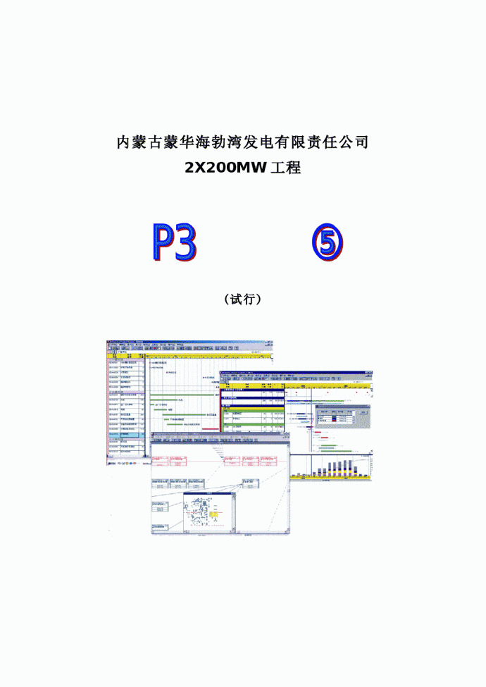 海电工程P3管理手册_图1