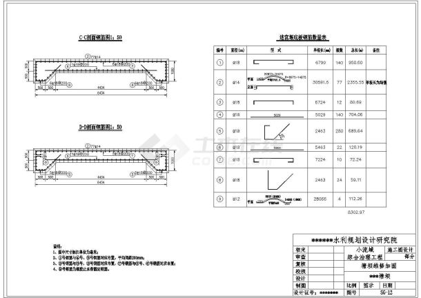 小型水库治理治理CAD示意图-图二