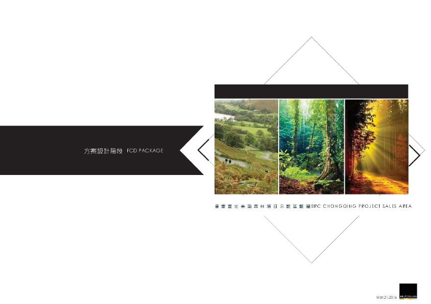 重庆蓝光美瀚森林项目景观设计方案.pdf