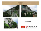 香港新鸿基豪宅项目考察报告_65P图片1