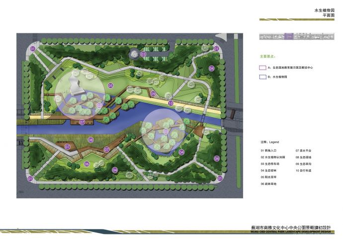 [芜湖]中央公园水生植物园景观设计方案_图1