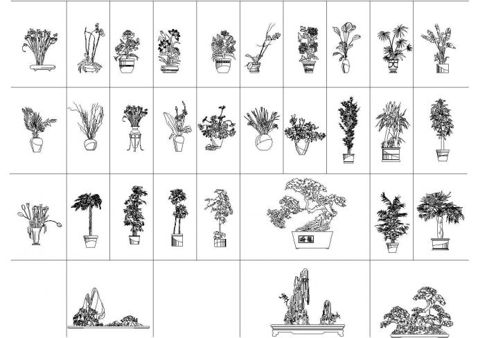 31个CAD室内植物立面图装修CAD图纸_图1