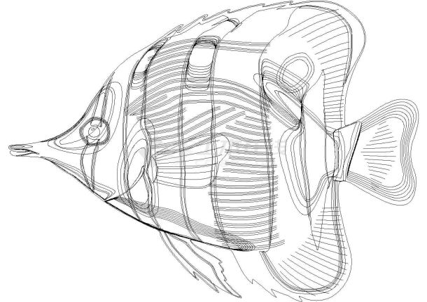 建筑CAD图块之CAD制作的观赏鱼图块-图一