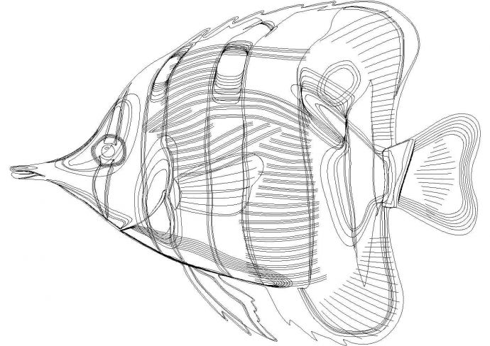 建筑CAD图块之CAD制作的观赏鱼图块_图1