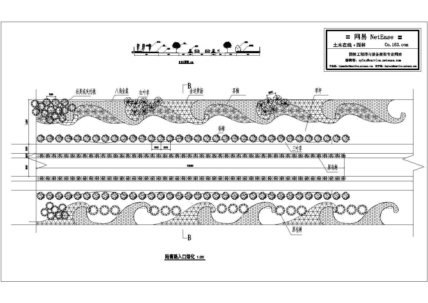 陆青路入口绿化设计图