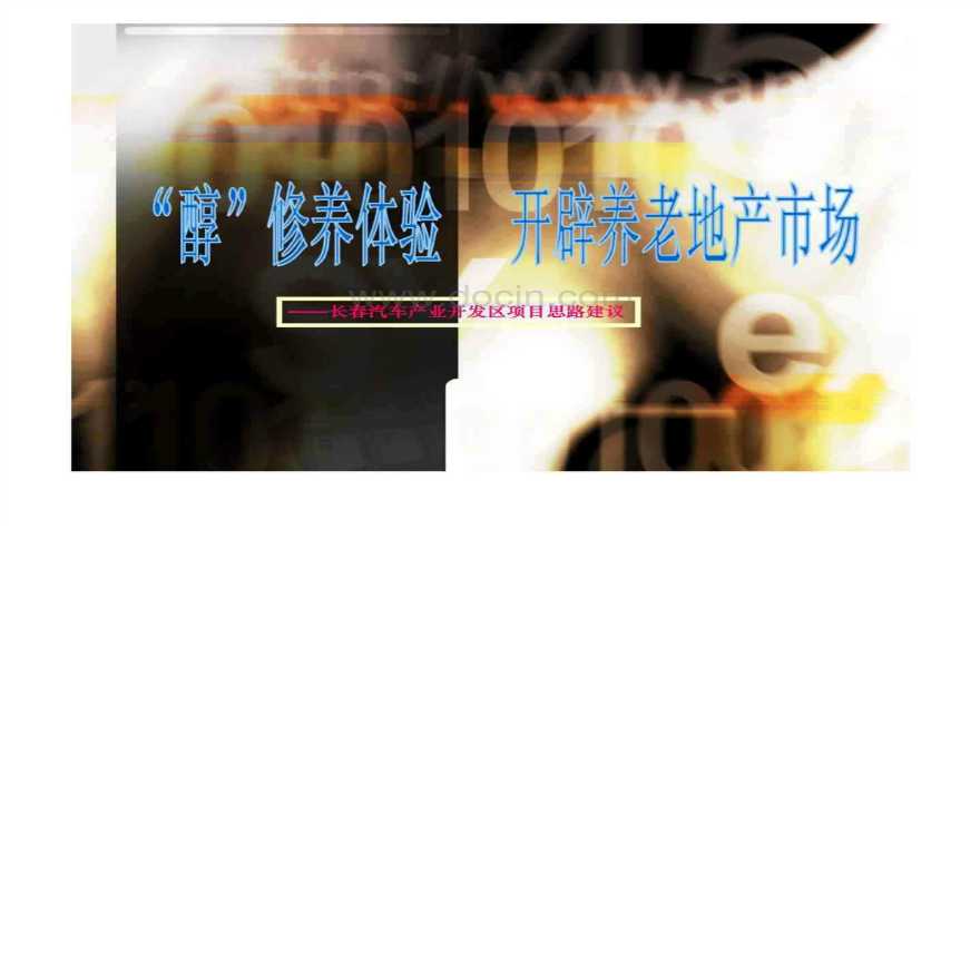 长春汽车产业开发区转养老项目思路建议.pdf-图一