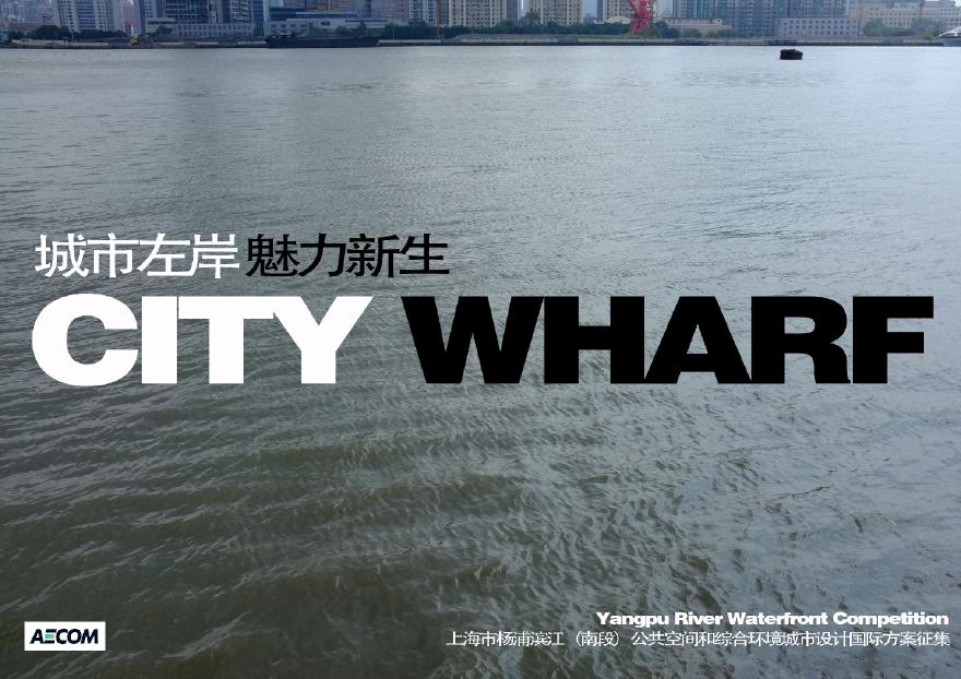 [上海]公共空间和滨水城市设计国际方案征集
