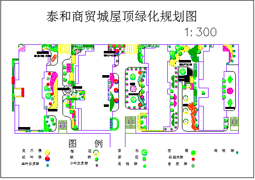 某商贸城屋顶绿化规划图