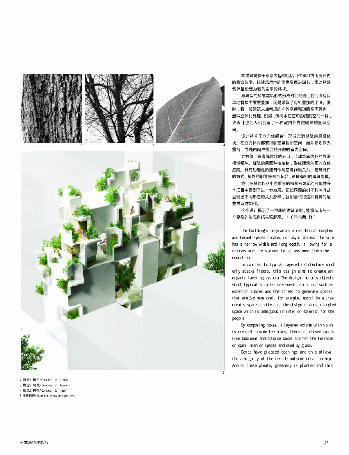 树型住宅建筑设计概述东京日本-图二