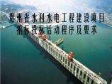 水利水电工程建设项目招投标活动程序及要求.ppt图片1