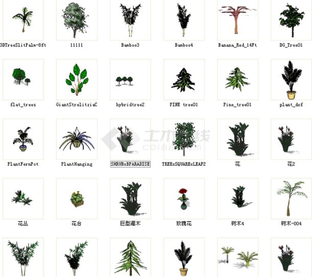 SKETCHUP植物组件-图一