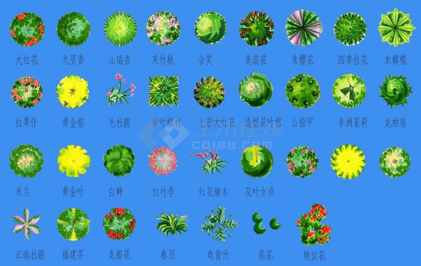 植物平面彩图1-图一