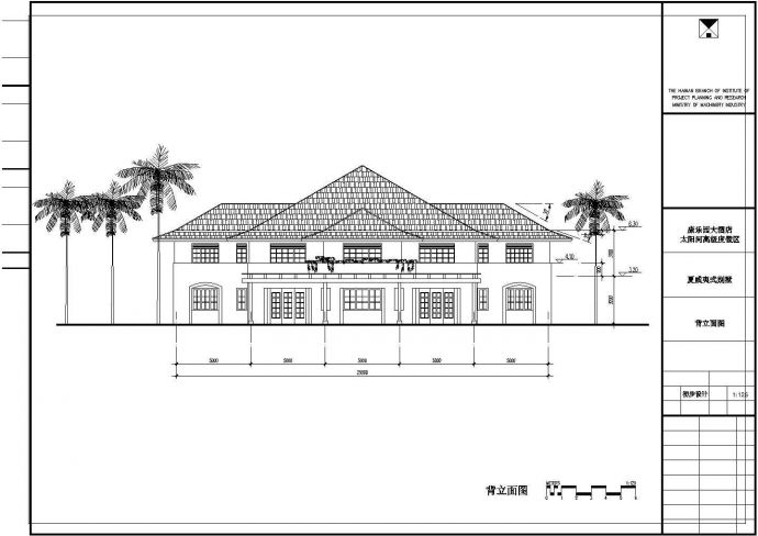 某地夏威夷风格别墅建筑方案图_图1