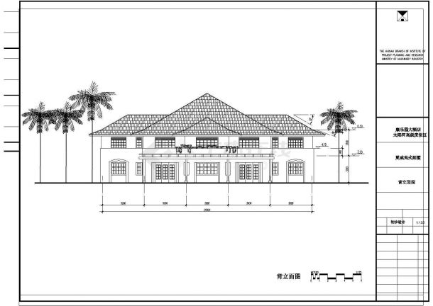 某地夏威夷风格别墅建筑方案图-图二