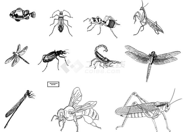 种类繁多的_某装饰城壁灯吊顶椅子床动物昆虫及其他图块CAD设计图-图一