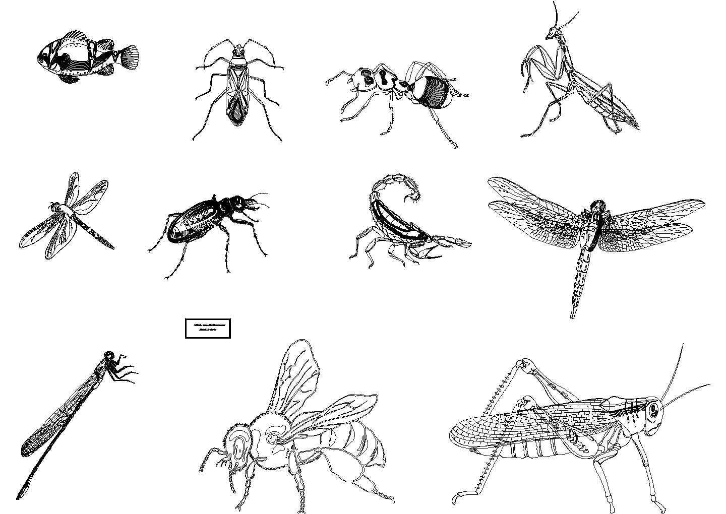 种类繁多的_某装饰城壁灯吊顶椅子床动物昆虫及其他图块CAD设计图