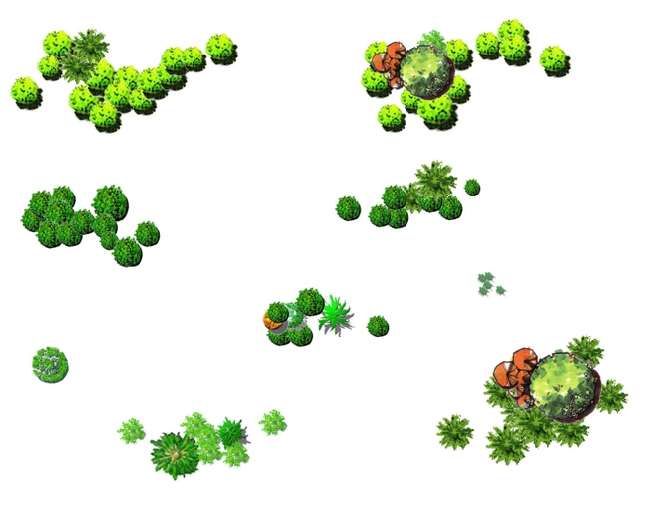 景观彩平面渲染的植物图例