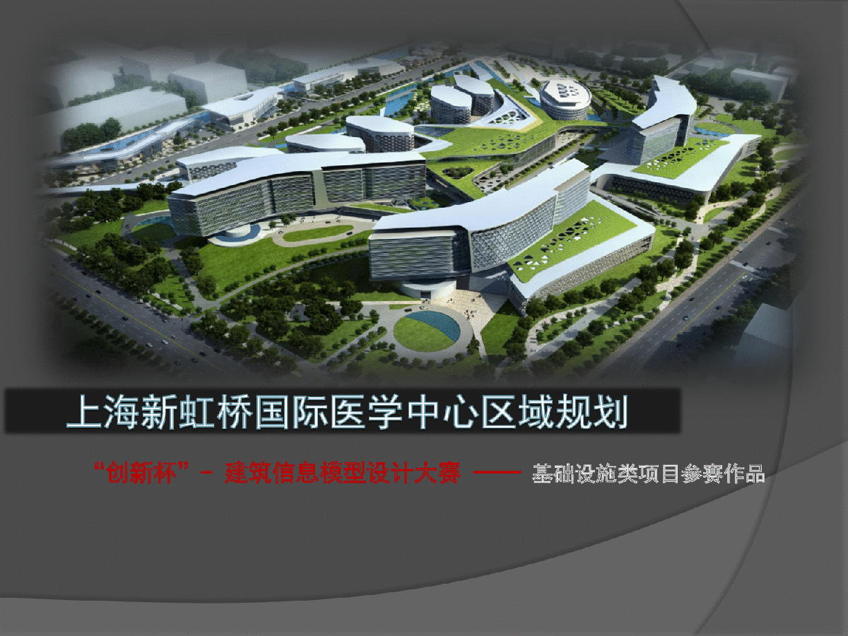 上海新虹桥国际医学中心区域规划-图一