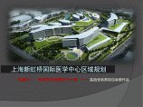 上海新虹桥国际医学中心区域规划图片1